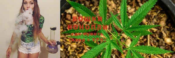 крисы Богданович