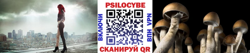 Галлюциногенные грибы GOLDEN TEACHER  Купить закладки  Алексин 